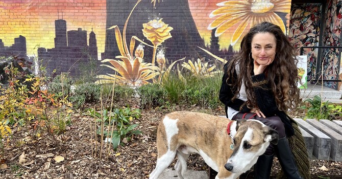 Boundaries: What are they and the importance of setting them. image