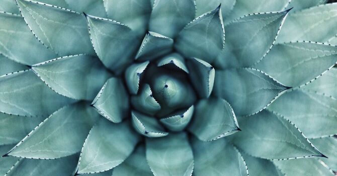 To kegel or not? image