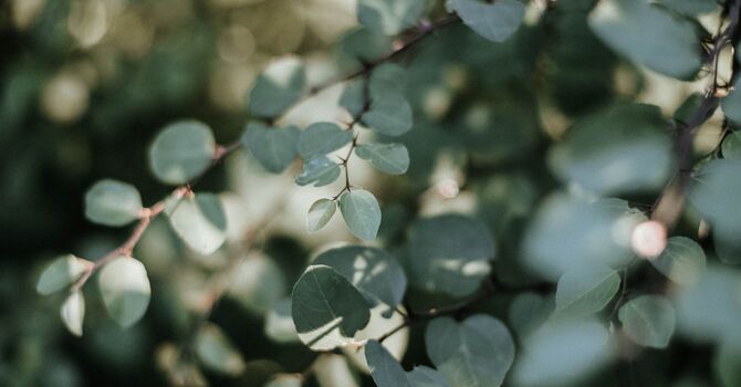 Qi Care for Women, Qi Care for Men image