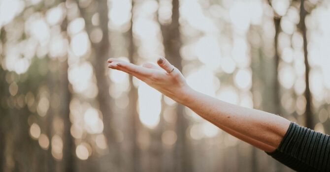 Endometriosis, what can I do about it? image